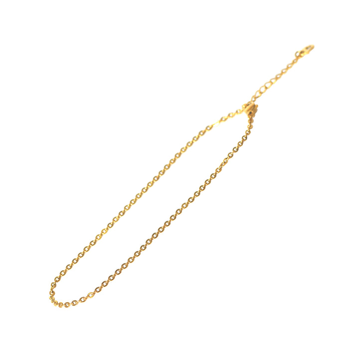 TITANIUM SLIM LINK CHAIN ANKLET GOLD IP