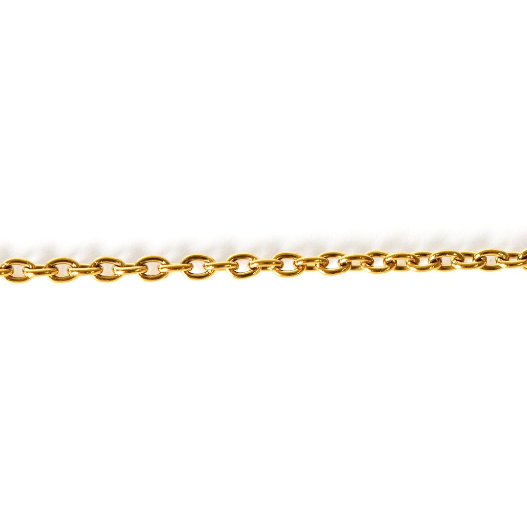 TITANIUM SLIM LINK CHAIN ANKLET GOLD IP