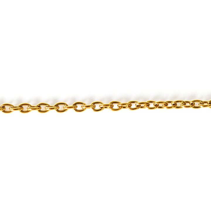 TITANIUM SLIM LINK CHAIN ANKLET GOLD IP