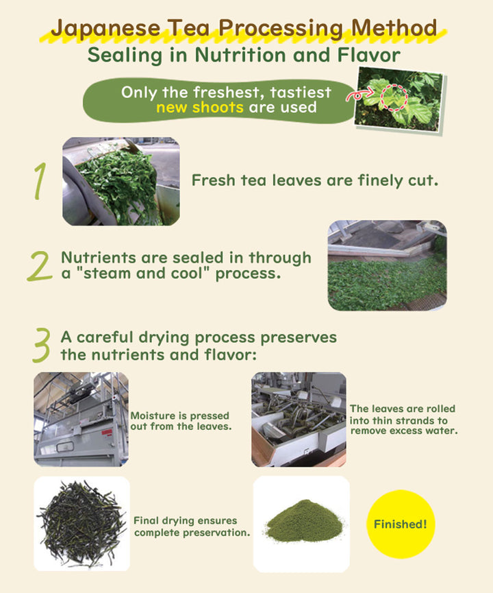 MULBERRY LEAF TEA SPROUTED BROWN RICE PLUS