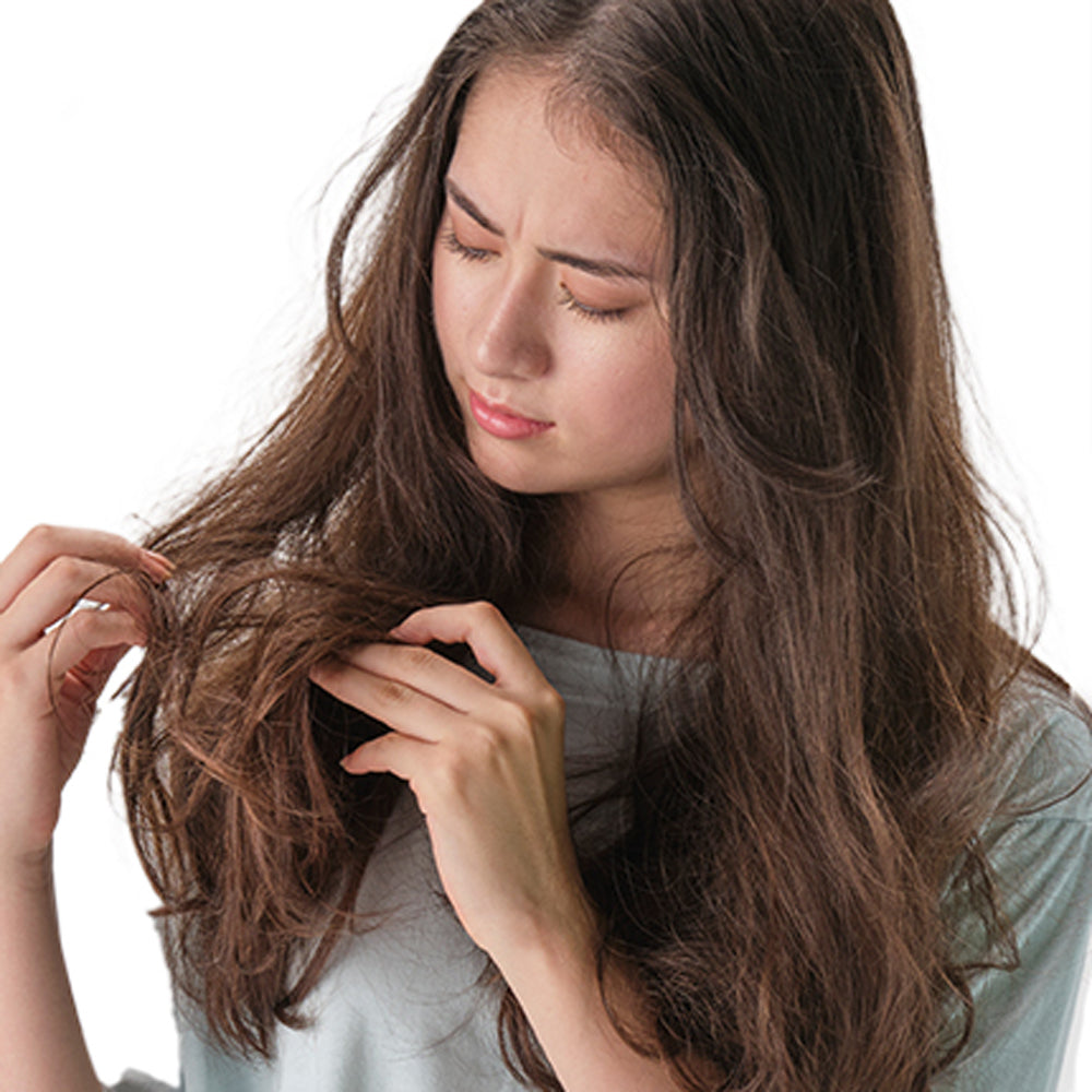 Yuko Daily Care Hair Brush