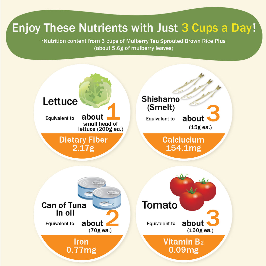 MULBERRY LEAF TEA INDIGESTIBLE DEXTRIN PLUS