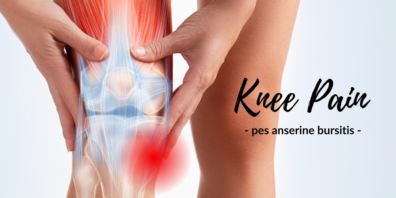 WHEN YOUR KNEES CRY OUT IN PAIN: PES ANSERINE BURSITIS – Phiten