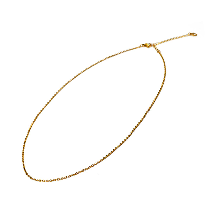 TITANIUM SLIM LINK CHAIN NECKLACE GOLD IP