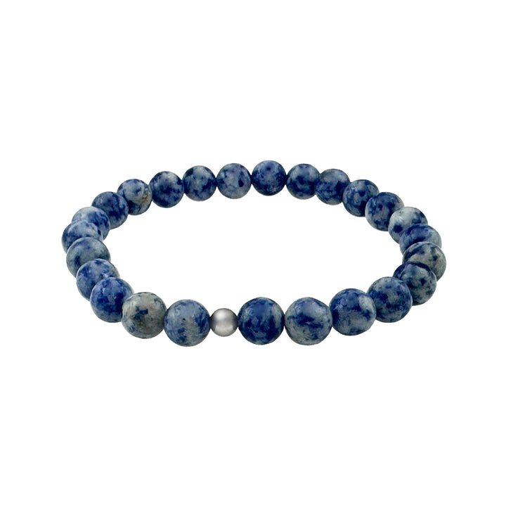 Sodalite Bracelet